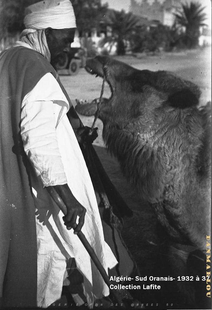 SUD ORANAIS  1932 A 1937  (27).jpg